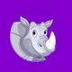 Ryn VPN app icon